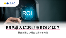 blogkv_roi-in-erp